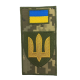 Chevron plug Ground troops olive